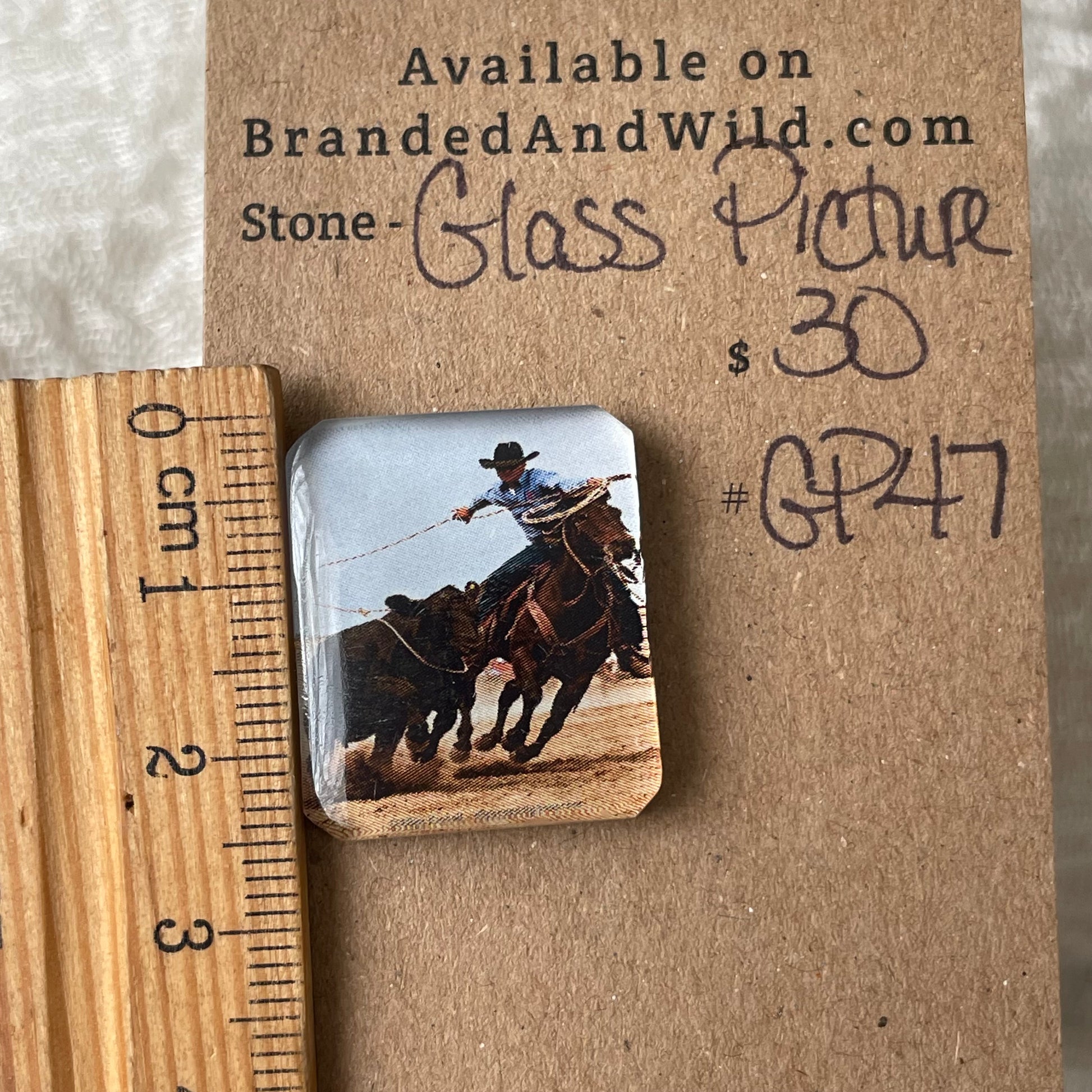 Glass Picture - Cabochon - GP47 0E1537D6-B81B-4565-BA15-69AC70B4E1B5 Brandedandwild.com