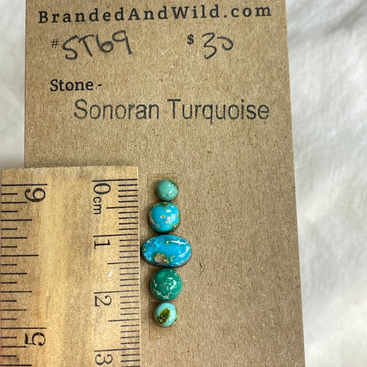 Sonoran Turquoise Cabochon - ST69 0E345842-03F3-4064-97C2-CBEA26241E7D Brandedandwild.com