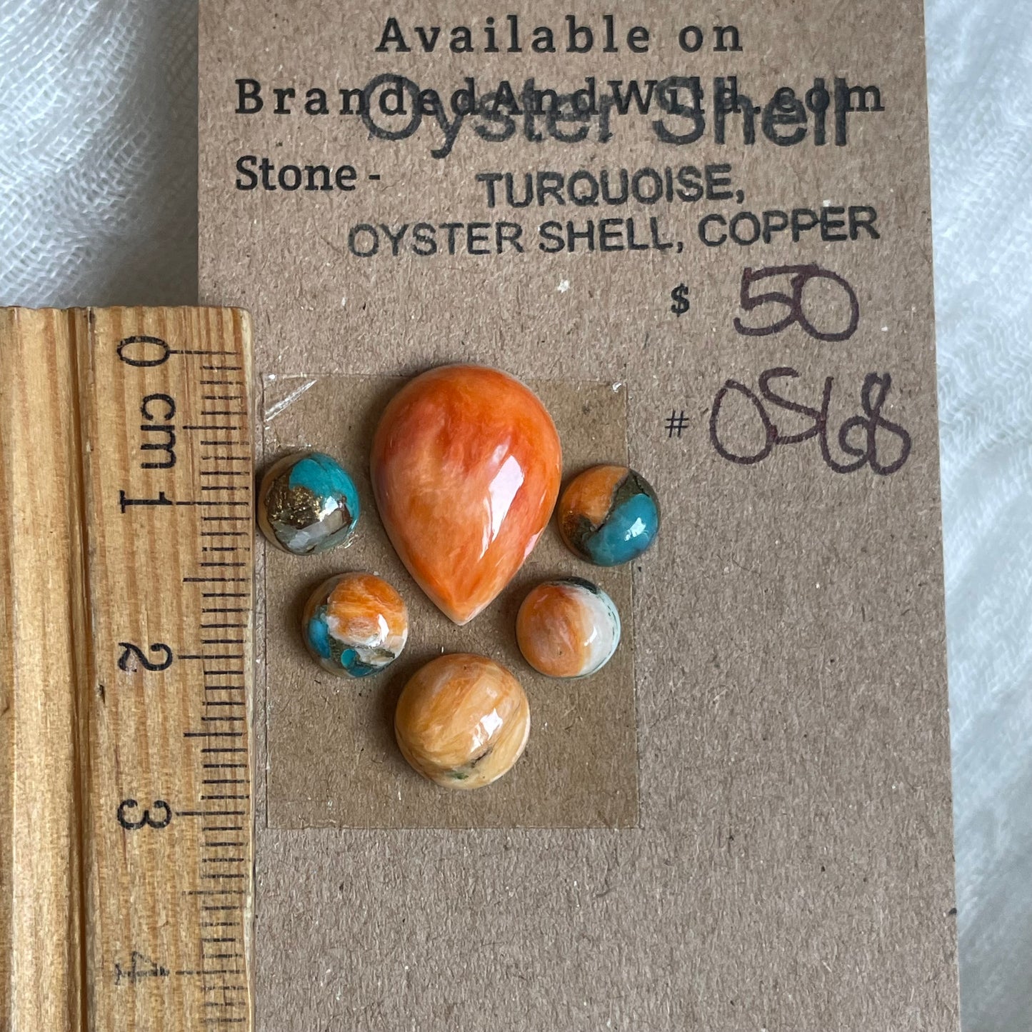 Oyster Shell Cabochon - OS68