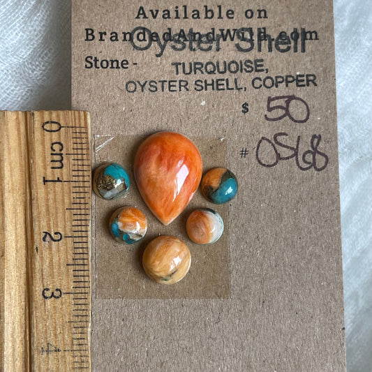 Oyster Shell Cabochon - OS68 0E667A65-0123-4A72-B643-E5733CE07A5A Brandedandwild.com