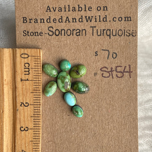 Sonoran Turquoise Cabochon - ST54