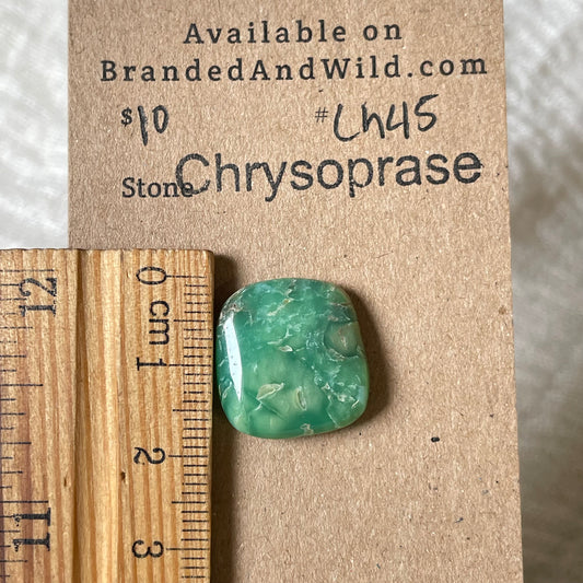 Chrysoprase Cabochon - Ch45 0E9ABB40-83F7-42EA-9B85-08C76F939C7E Brandedandwild.com