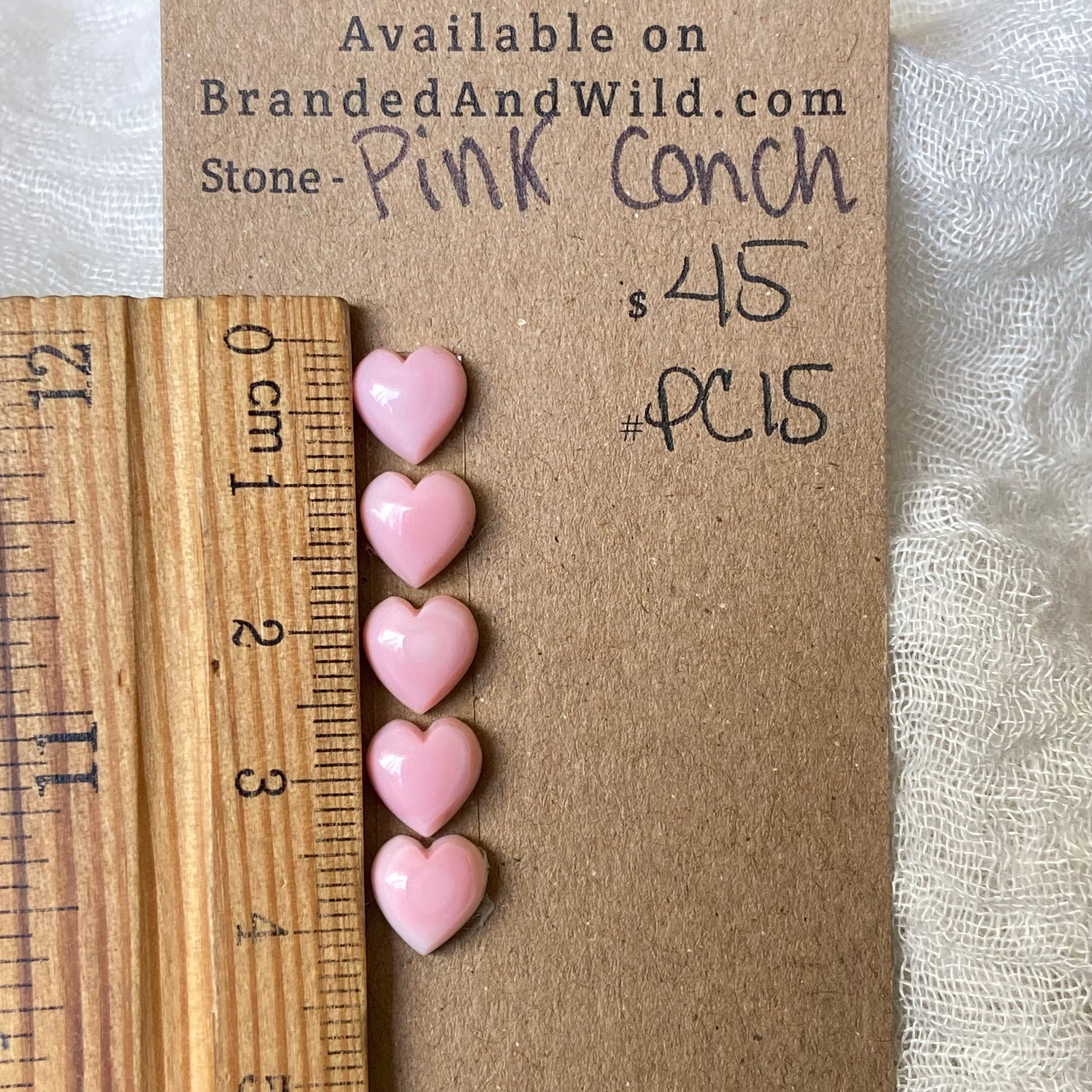 Pink Conch Cabochon - PC15 0E9C4E82-6576-4835-A3B7-41660E9BC4A5 Brandedandwild.com
