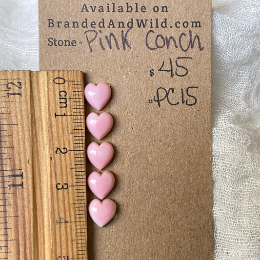 Pink Conch Cabochon - PC15 0E9C4E82-6576-4835-A3B7-41660E9BC4A5 Brandedandwild.com
