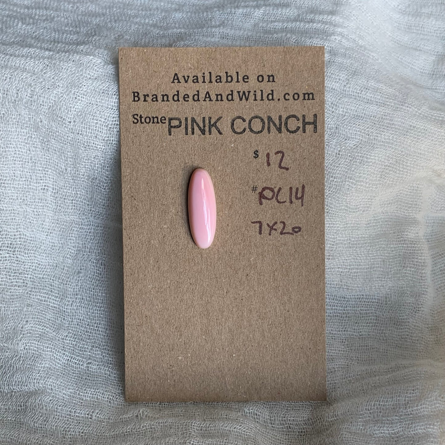 Pink Conch Cabochon - PC14