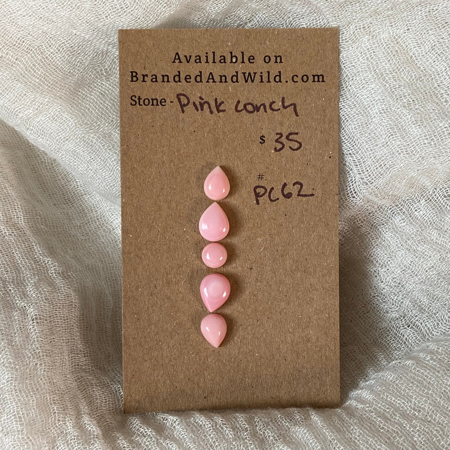 Pink Conch Cabochon - PC62