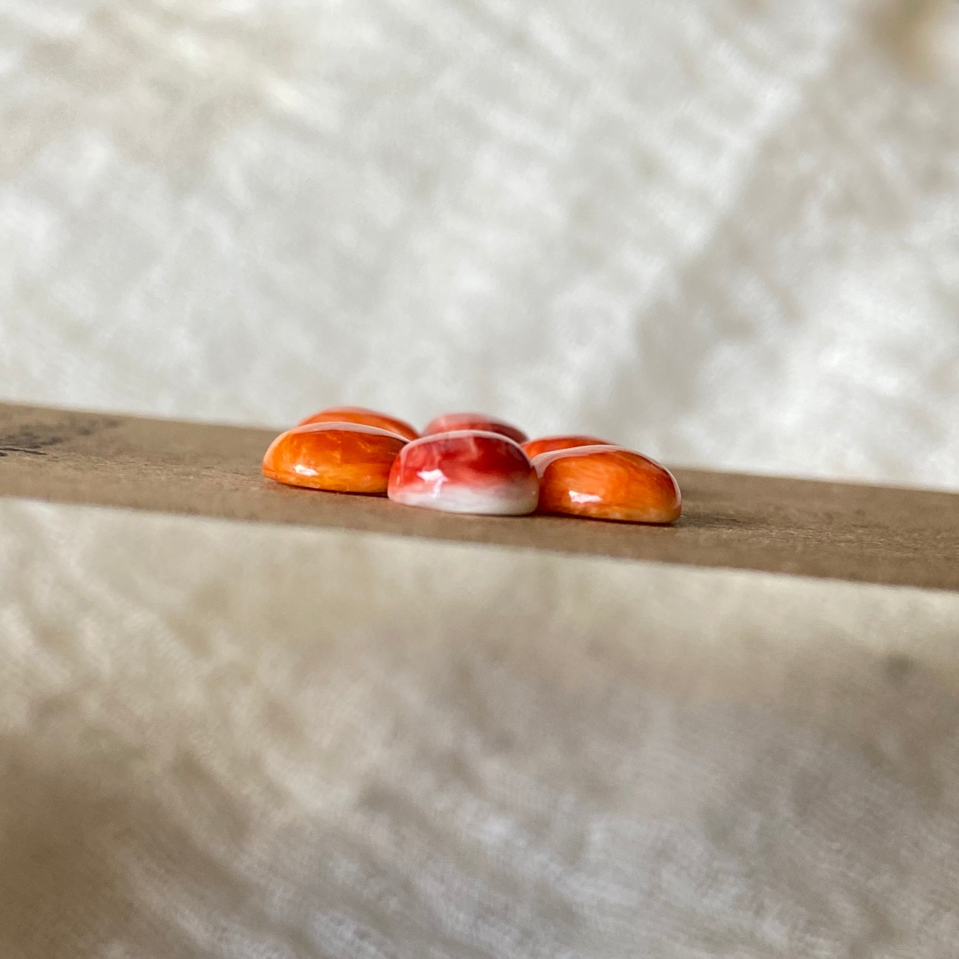 Oystershell Cabochon - OS32 0EB2AC10-BB31-4DEF-9C13-8930C4ABD3C9 Brandedandwild.com