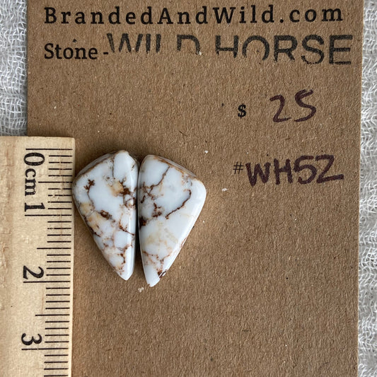 Wild Horse Cabochon - WH52