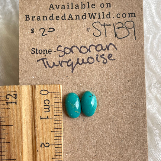 Sonoran Turquoise Cabochon - ST139 0EB93185-A999-4BF6-877A-49EFA366BBF8 Brandedandwild.com