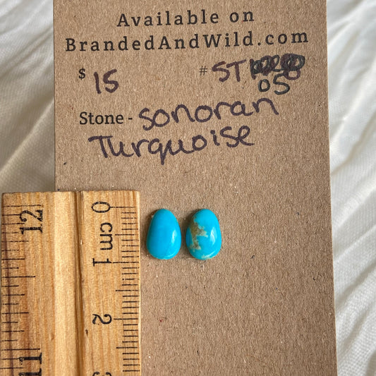 Sonoran Turquoise Cabochon - ST05 0EB93B49-A6BF-449C-82AE-1FBA8FE7F139 Brandedandwild.com