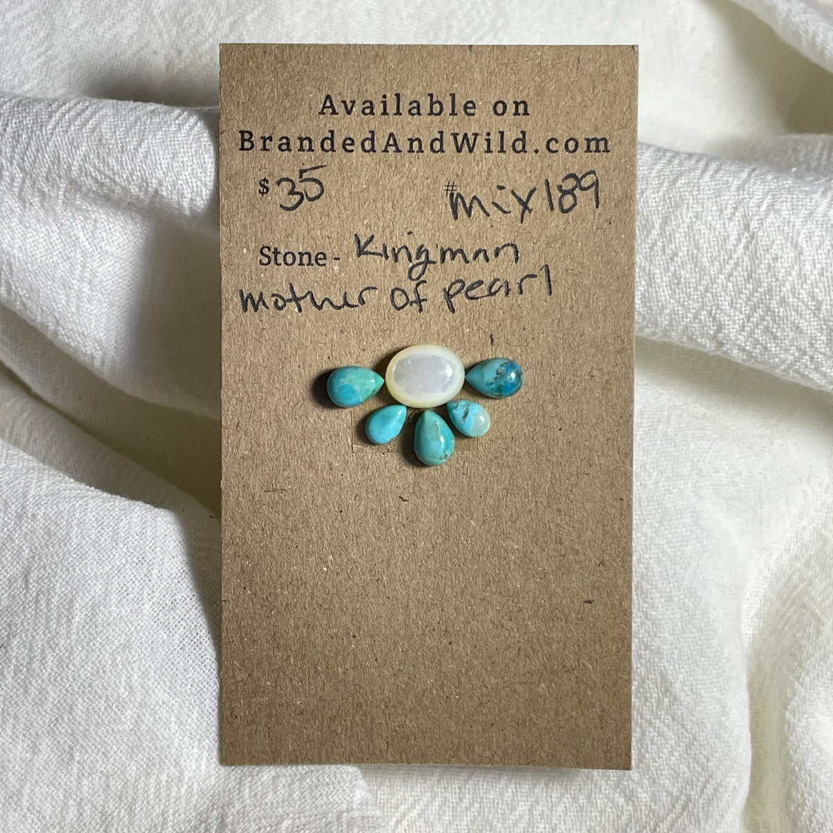 Kingman Turquoise / Mother of Pearl Cabochon - Mix189
