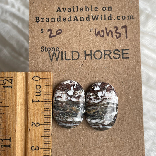 Wild Horse Cabochon - WH37 0ECB1694-A5B4-46BE-8E9E-9255CEC39F5C Brandedandwild.com
