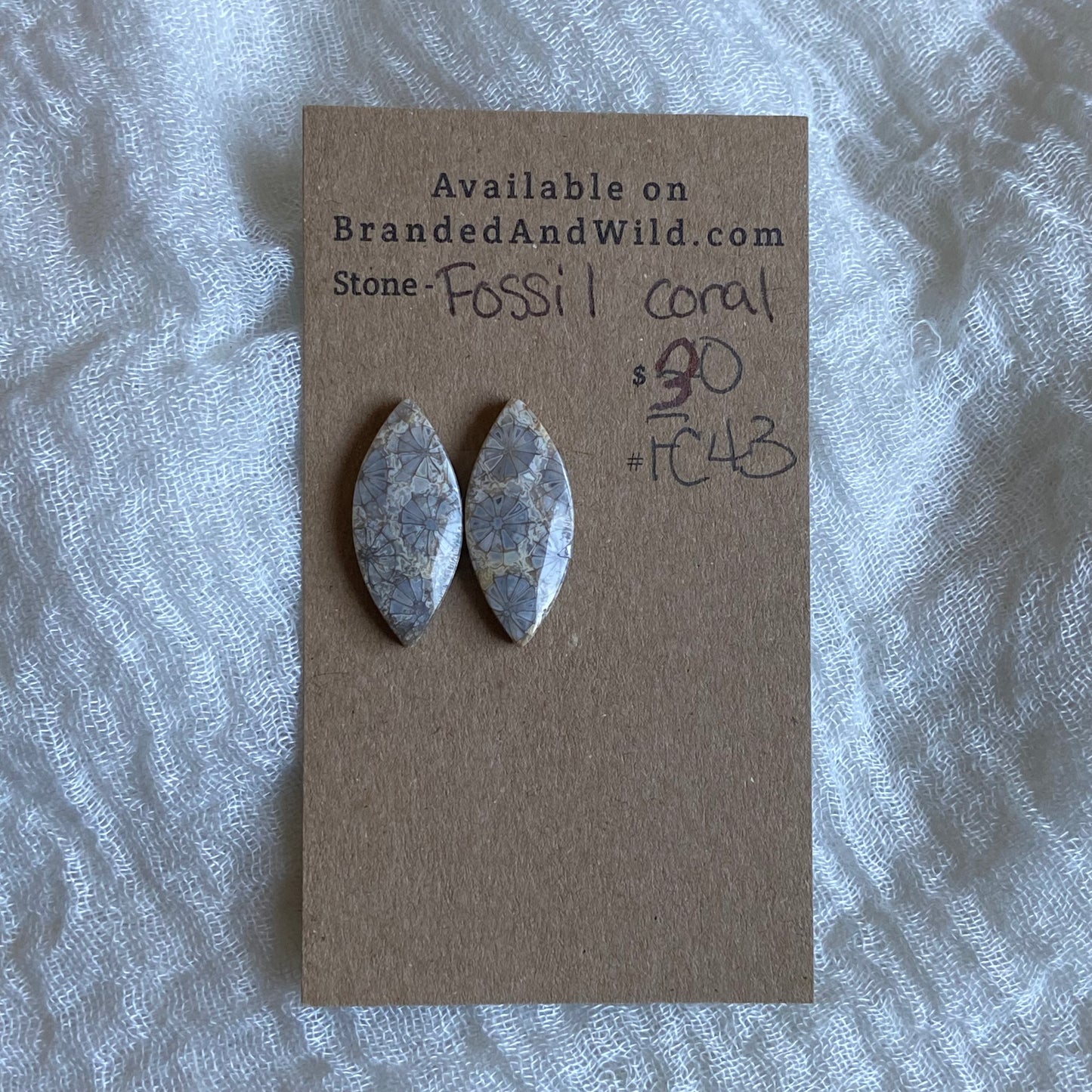 Fossil Coral Cabochon - FC43