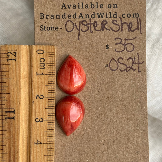 Oystershell Cabochon - 0S24