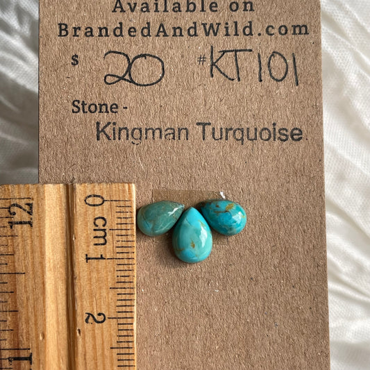 Kingman Turquoise Cabochon - KT101 0F1AD679-965E-4C7D-9C64-F4C32EB51E88 Brandedandwild.com