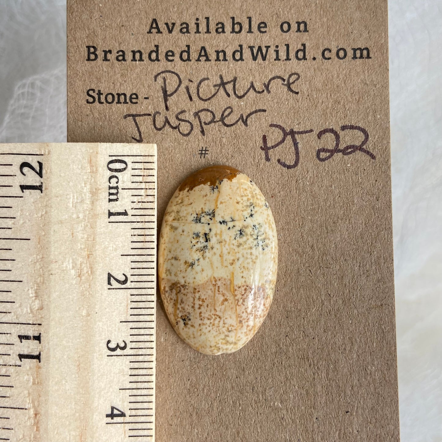 Picture Jasper Cabochon - PJ22