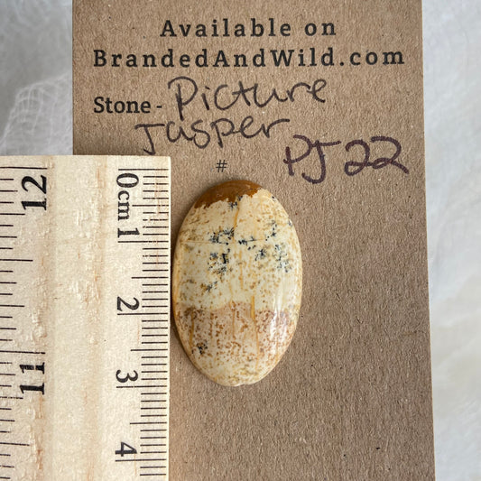 Picture Jasper Cabochon - PJ22