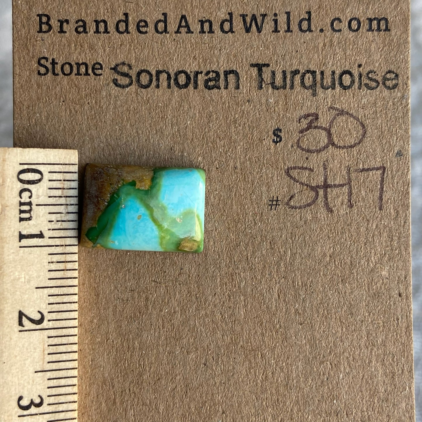 Sonoran Turquoise Cabochon - ST17