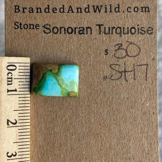 Sonoran Turquoise Cabochon - ST17