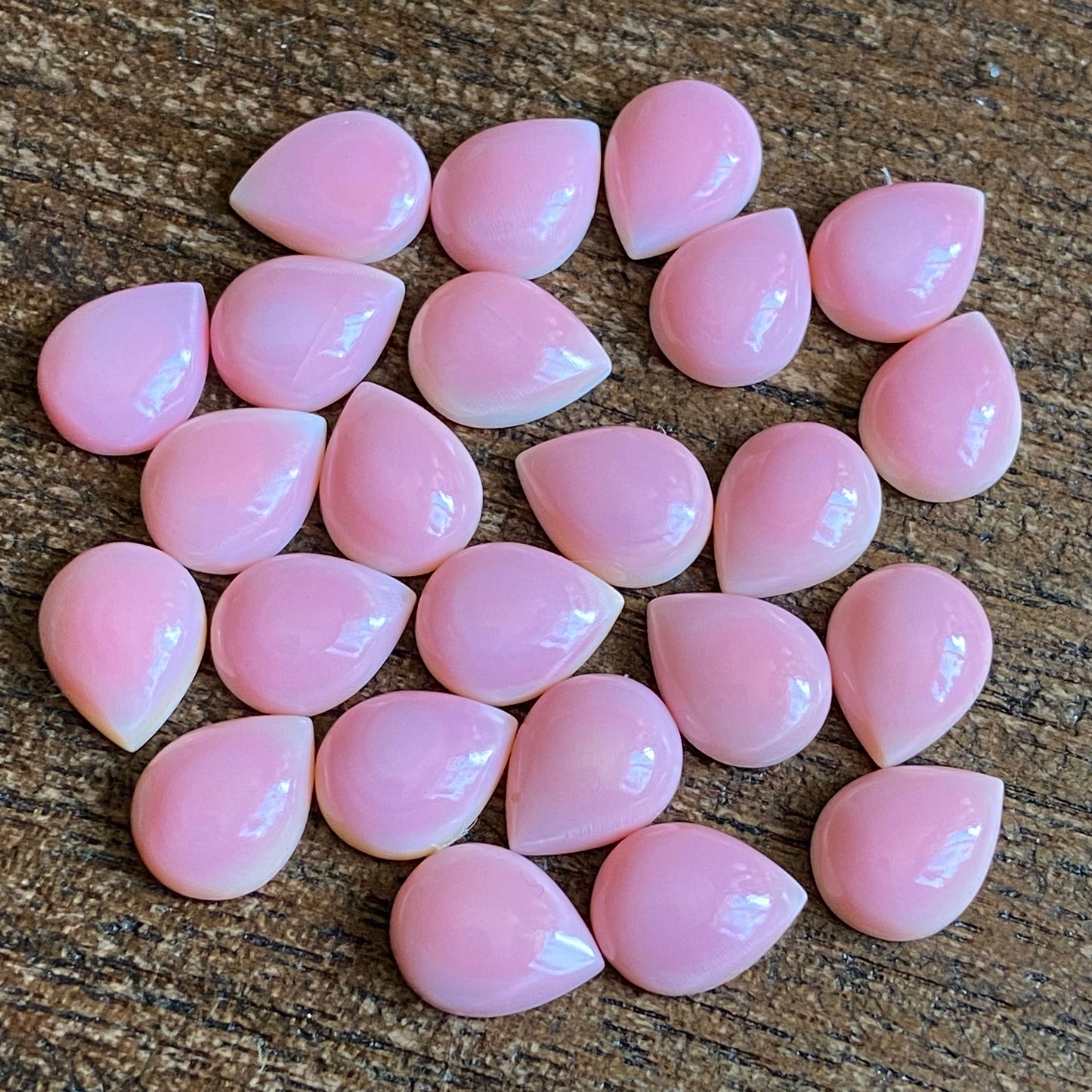 Pink Conch 7x9mm