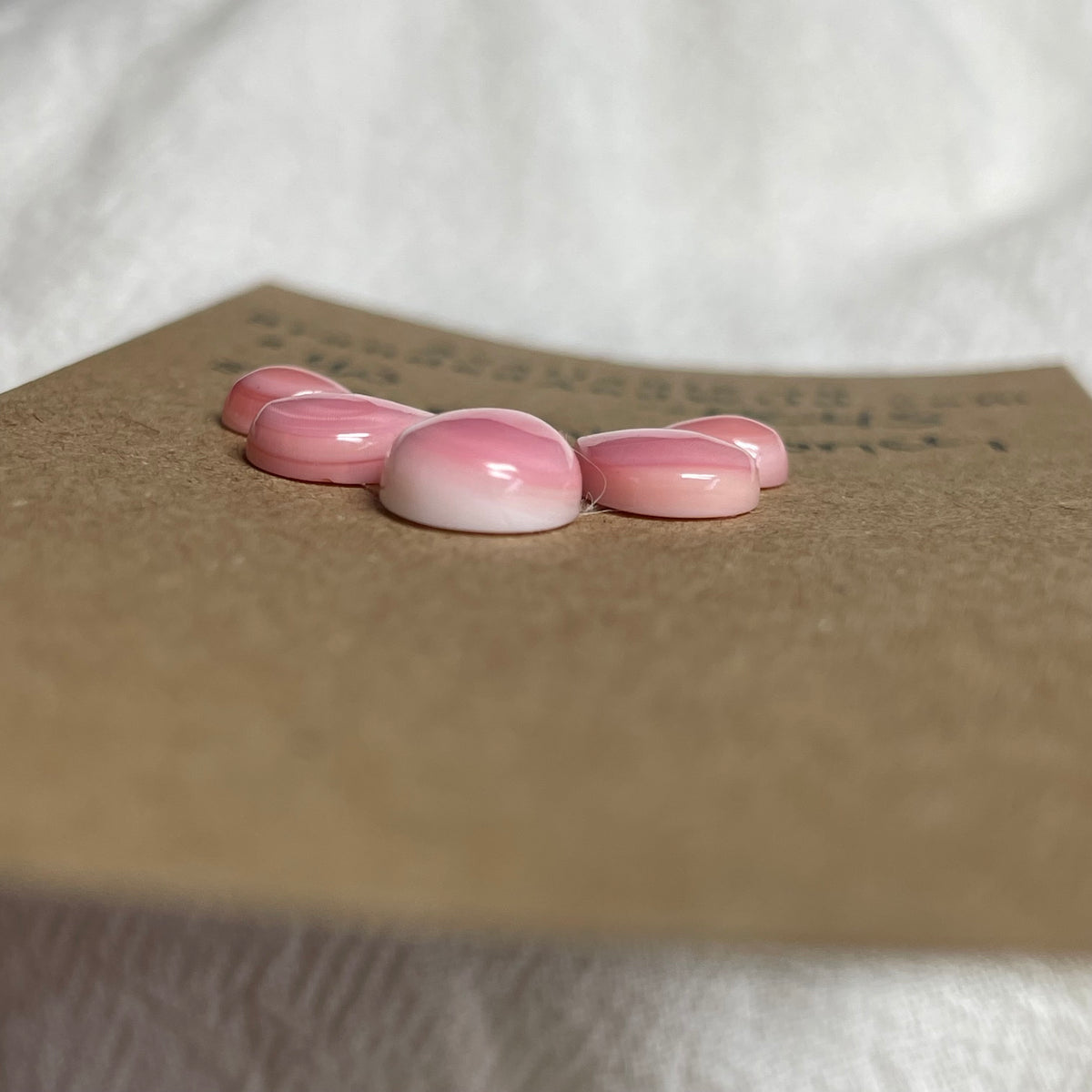Pink Conch Cabochon - PC45 0F49CDC6-29A7-49C6-8AC4-0552CEA26450 Brandedandwild.com