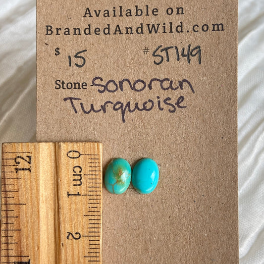 Sonoran Turquoise Cabochon - ST149 0F53D283-65BB-4E51-879B-C7B7D8469FC9 Brandedandwild.com
