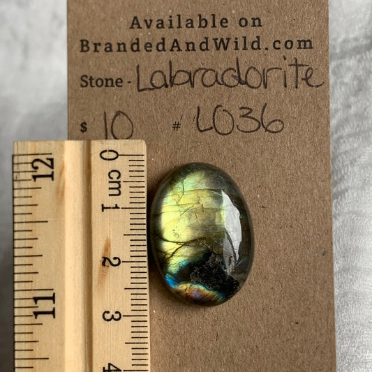 Labradorite Cabochon - L036