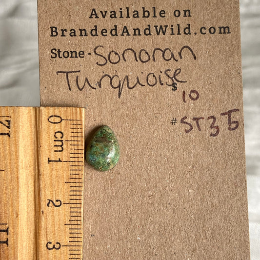 Sonoran Turquoise Cabochon - ST35 0F6C423D-5257-4AA6-B356-390BA0E03773 Brandedandwild.com