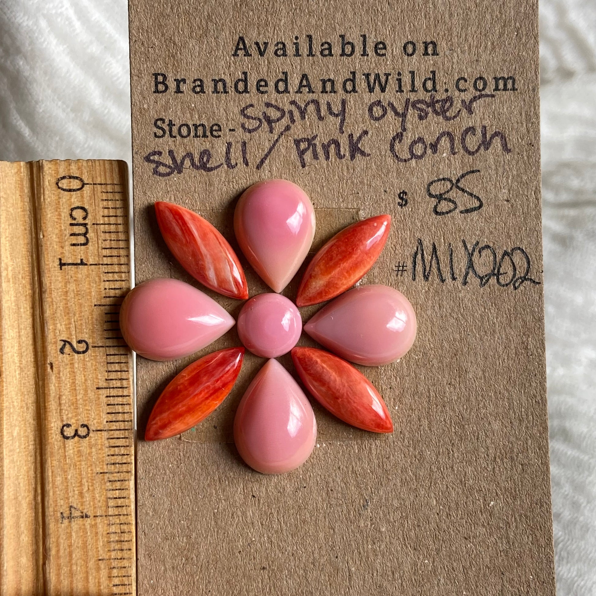 Oyster Shell / Pink Conch Cabochon - Mix202 0FAB4090-758F-4C2B-97F0-6560B0BB3BB1 Brandedandwild.com