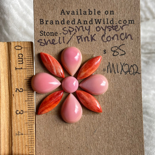 Oyster Shell / Pink Conch Cabochon - Mix202 0FAB4090-758F-4C2B-97F0-6560B0BB3BB1 Brandedandwild.com