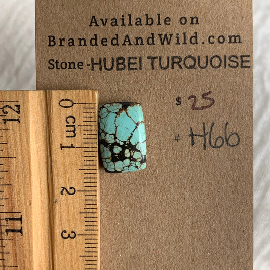 Hubei Turquoise Cabochon - H66