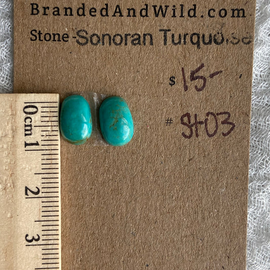 Sonoran Turquoise Cabochon - ST03