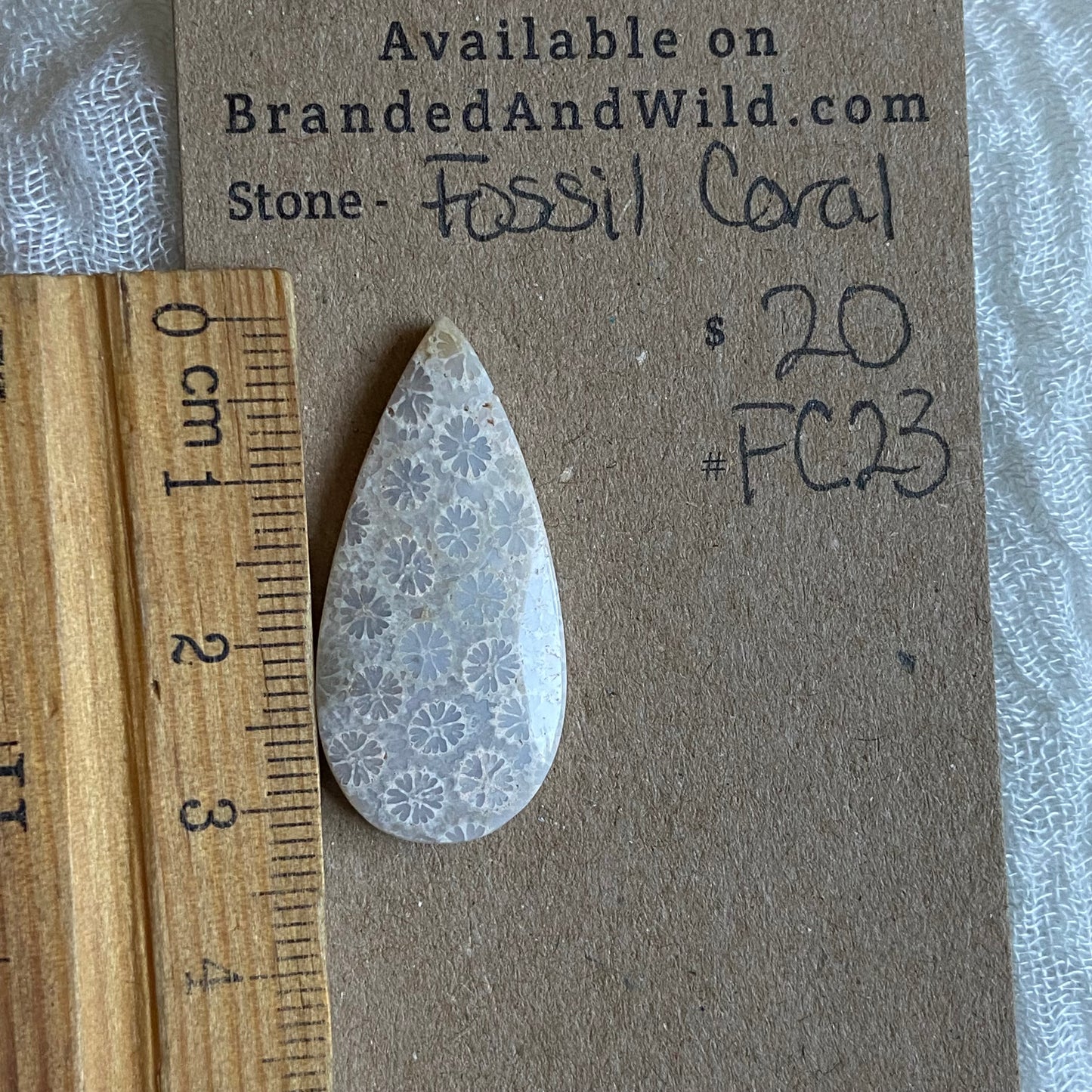 Fossil Coral Cabochon - FC23