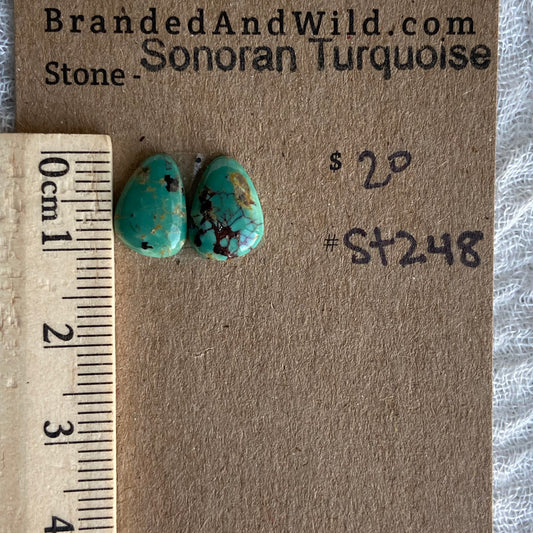 Sonoran Turquoise Cabochon - ST248