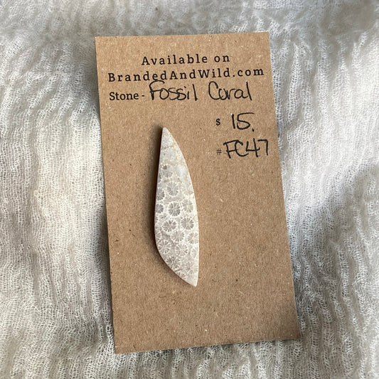 Fossil Coral Cabochon - FC47