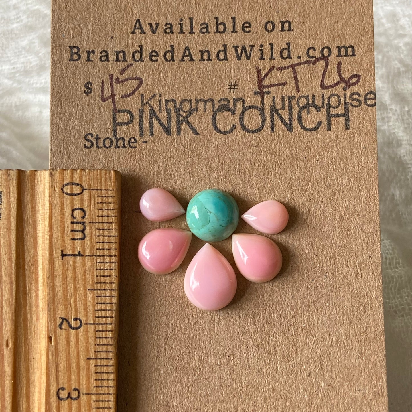 Pink Conch / Kingman Turquoise Cabochon - PK26