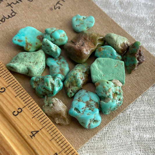 Rough Tumbled Sonoran Gold Turquoise - #ST14