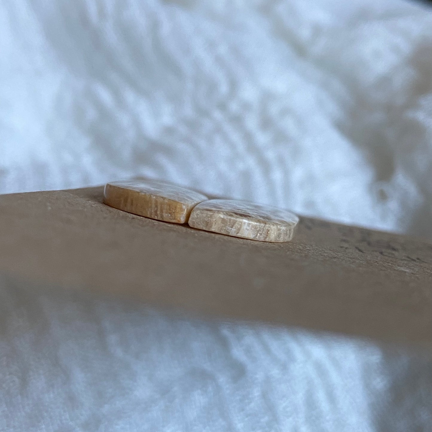 Fossil Coral Cabochon - FC107