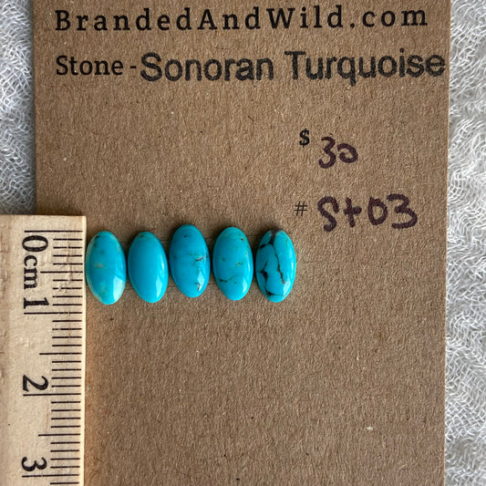 Sonoran Turquoise Cabochon - ST03