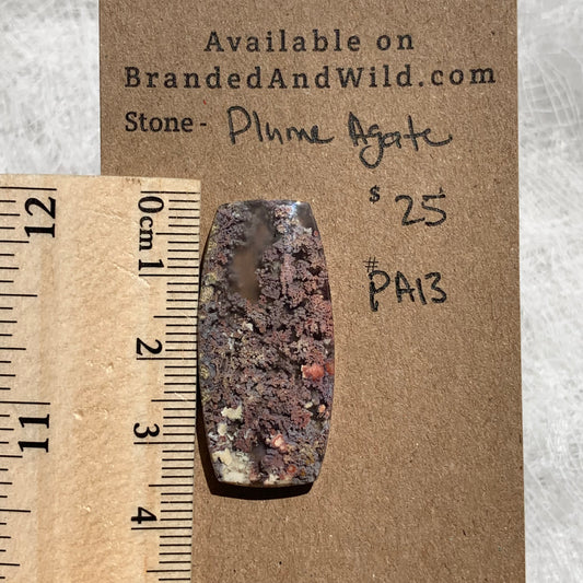 Plume Agate Cabochon - PA13