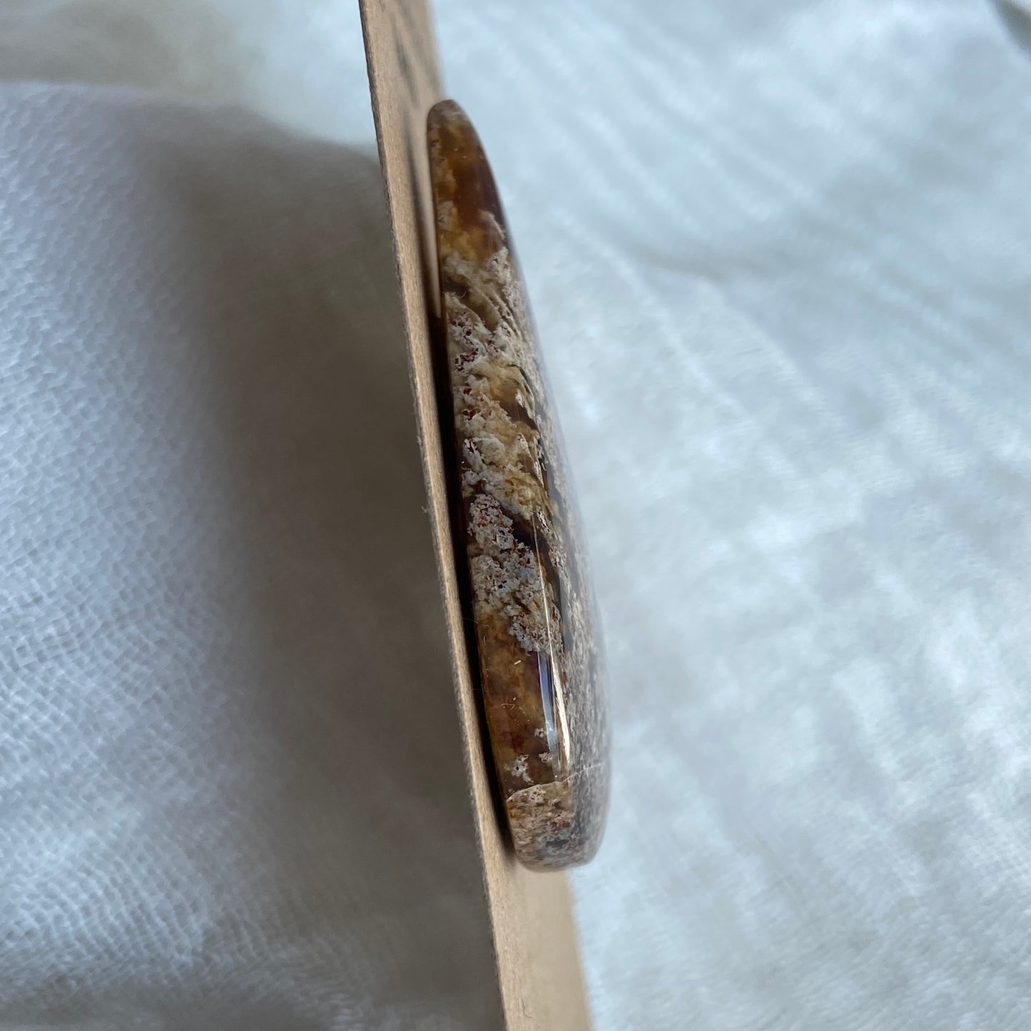 Amber Cabochon AM02