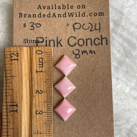 Pink Conch Cabochon - PC24