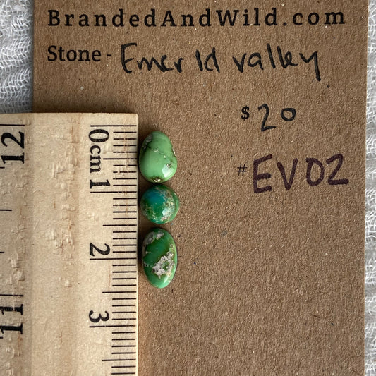 Emerald Valley Turquoise Cabochon - EV02