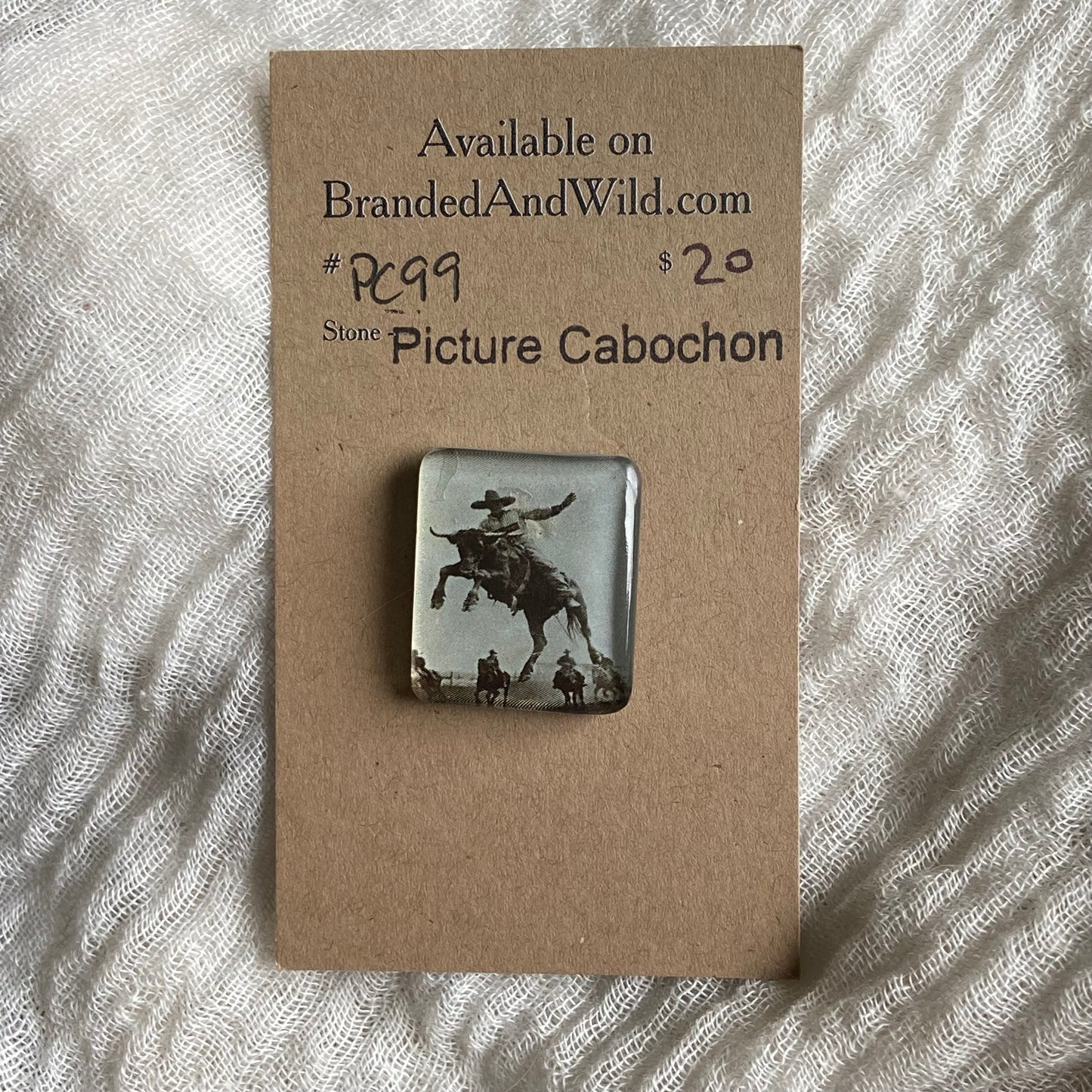 Picture Cabochon - Cabochon - PC99 10E7228C-C035-40F5-BE5D-0D2EC3BB2992 Brandedandwild.com