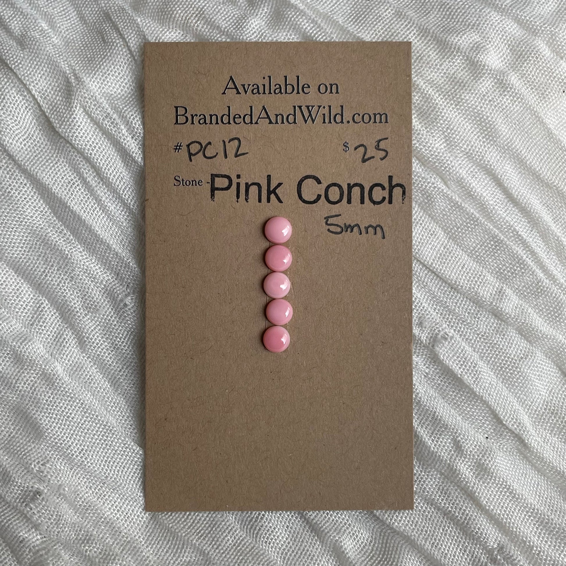 Pink Conch Cabochon - PC12 110AF65E-511E-4740-8845-44981E49DD0D Brandedandwild.com