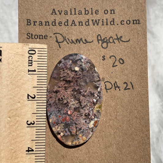 Plume Agate Cabochon - PA21