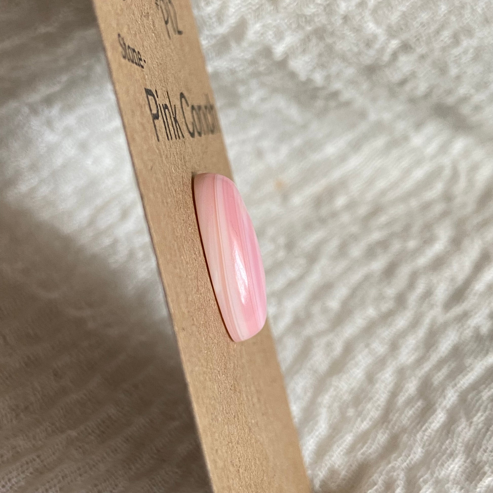 Pink Conch Cabochon - P12 11242340-180E-480F-B755-0DCEFBAEB649 Brandedandwild.com