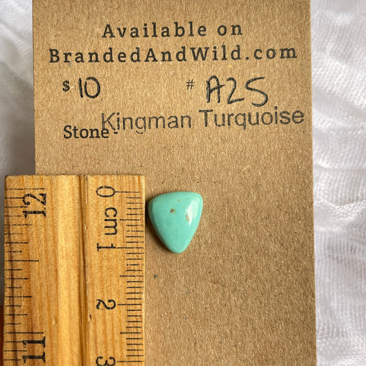 Kingman Turquoise Cabochon - KT25 11268266-3AFE-41F9-9EEC-C7A74D3E1A0D Brandedandwild.com