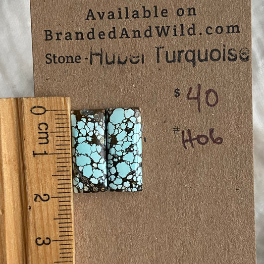 Hubei Turquoise Cabochon - H06