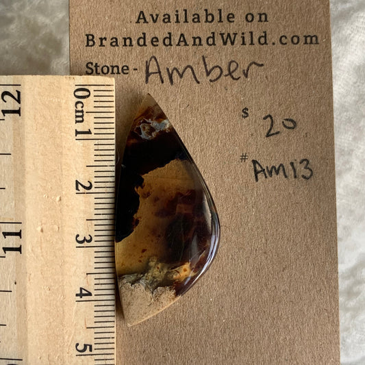 Amber Cabochon AM13
